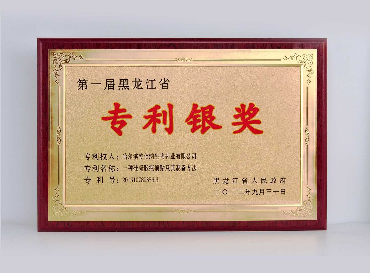 專(zhuān)利銀獎(jiǎng)